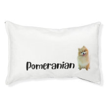 Chien de Poméranie Lit par race