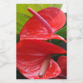 Pour Bocaux Étiquette de contenants à fleurs rouges (Étiquettes simples)