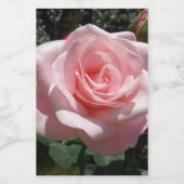 Pour Bocaux Étiquette de contenants Rose Rose (Étiquettes simples)
