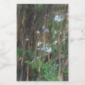 Pour Bocaux Étiquette de conteneur alimentaire de mangrove (Étiquettes simples)