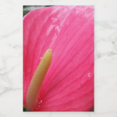 Pour Bocaux Étiquette de conteneur d'alimentation de fleurs ro (Étiquettes simples)