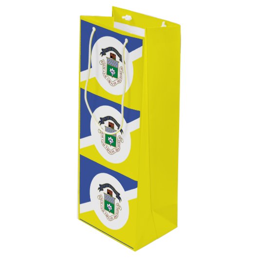 Pour Bouteille Drapeau de Winnipeg (Manitoba) Sac cadeau de vin (Devant Angle)