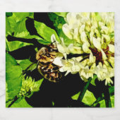 Pour Bouteilles De Bière Étiquette d'eau d'abeilles (Étiquettes simples)