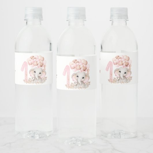 Pour Bouteilles D'eau 1ère fête d'anniversaire | Fille | Étiquette de bo (Bouteilles)