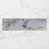 Pour Bouteilles D'eau Étiquette Alligator Bottle (Étiquettes simples)