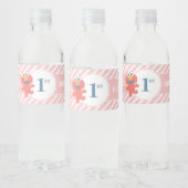 Pour Bouteilles D'eau Rue Sésame | Elmo - Étiquette de bouteille d'anniv (Bouteilles)
