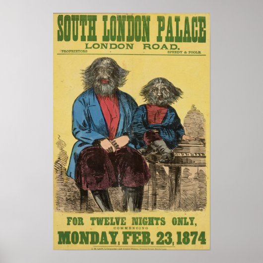 Pour douze nuits seulement Poster (Devant)