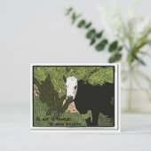 Pour err est humain, Pour moo carte postale bovine (Debout devant)