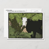 Pour err est humain, Pour moo carte postale bovine (Devant / Derrière)