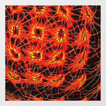 Autocollant de grille de feu