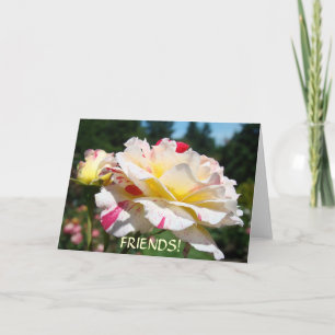 Pour Fêtes Annuelles AMIS ! CARTES DE NOËL ROSE Cartes d'anniversaire