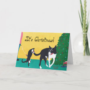 Pour Fêtes Annuelles Amusez Son Chat De Chien De Noël Jouer Des Cartes