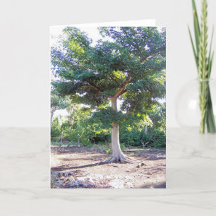 Pour Fêtes Annuelles Arbre de cartes de voeux de sagesse