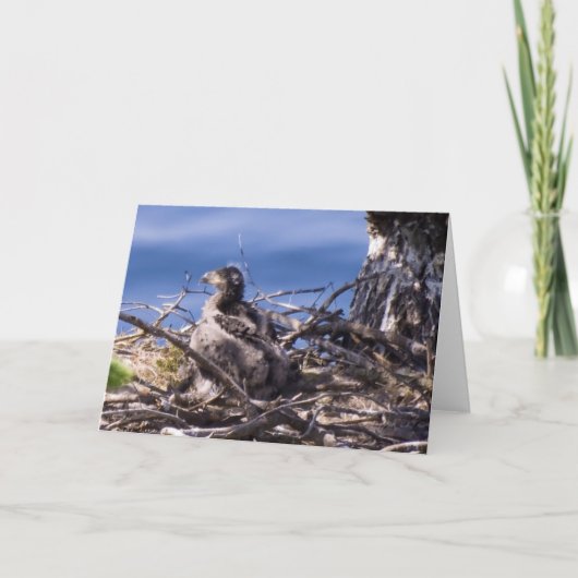 Pour Fêtes Annuelles Bald Eagle Chick - Cartes (Devant)