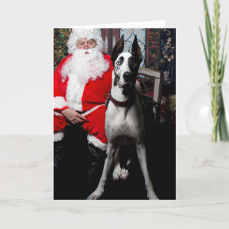 Pour Fêtes Annuelles Bouteur le chien de thérapie, cartes de Noël