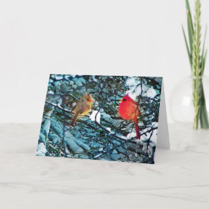 Pour Fêtes Annuelles Cardinal hiver amour, cartes