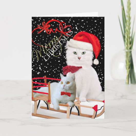 Pour Fêtes Annuelles Cartes blanches de Joyeux Noël de chat (Devant)