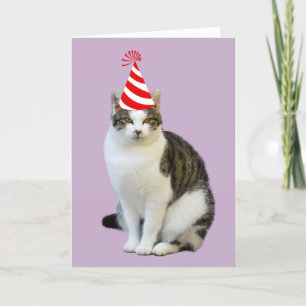 POUR FÊTES ANNUELLES CARTES D'ANNIVERSAIRE CUTE CAT PHOTO
