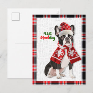 Pour Fêtes Annuelles Cartes de Noël Boston Terrier Chien Puces Navidog