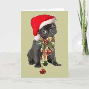 Pour Fêtes Annuelles Cartes de Noël carlin