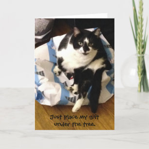 Pour Fêtes Annuelles Cartes de Noël Cute Tuxedo Chat Purr-fect