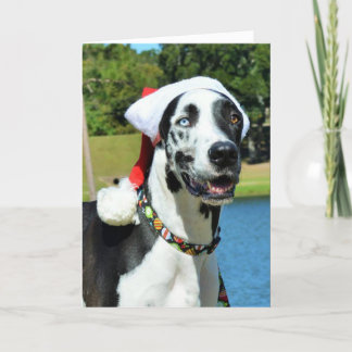 Pour Fêtes Annuelles Cartes de Noël de bouteur