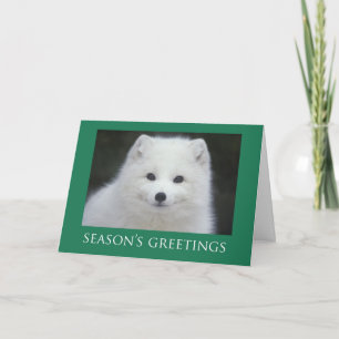 Pour Fêtes Annuelles Cartes de Noël de Fox