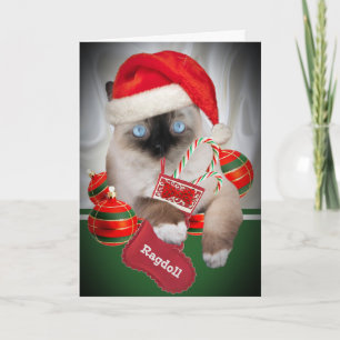 Pour Fêtes Annuelles Cartes de Noël de Ragdoll
