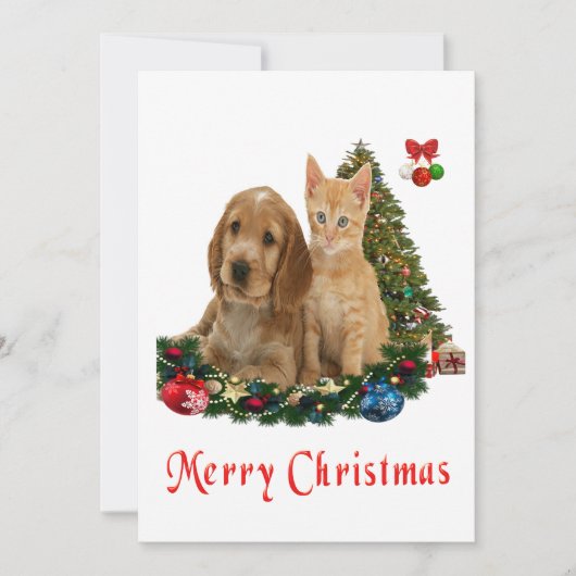 Pour Fêtes Annuelles Cartes de Noël des animaux (Devant)