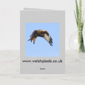 Pour Fêtes Annuelles Cartes de Noël du Raptor (Dos)