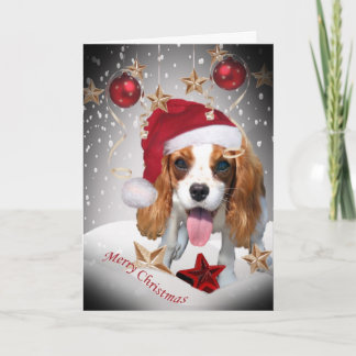 Pour Fêtes Annuelles Cartes de Noël du Roi Charles Cavalier