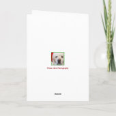 Pour Fêtes Annuelles Cartes de Noël Funny Yellow Lab (Dos)