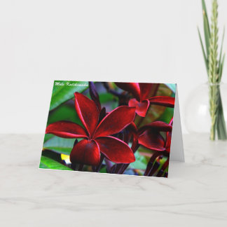 Pour Fêtes Annuelles Cartes de Noël hawaïennes