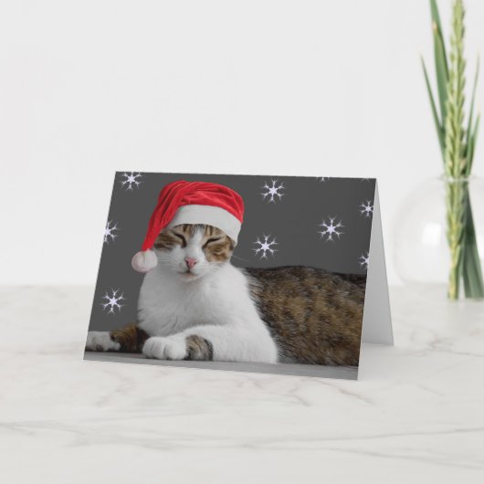 Pour Fêtes Annuelles Cartes de Noël Kitty (Devant)