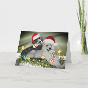 Pour Fêtes Annuelles Cartes de Noël "Naughty or Nice"