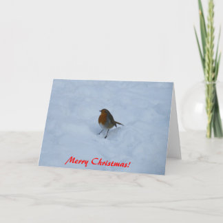 Pour Fêtes Annuelles Cartes de Noël Robin