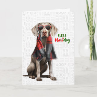 Pour Fêtes Annuelles Cartes de Noël Weimaraner Drôle de puces Navidog