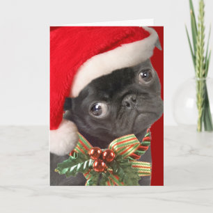 Pour Fêtes Annuelles Cartes de Père Noël de carlin de bébé