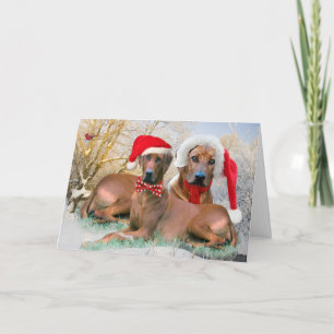 Pour Fêtes Annuelles Cartes de scène de Noël de Rhodesian Ridgeback