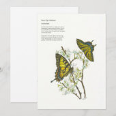 Pour Fêtes Annuelles Cartes de vacances (Devant / Derrière)