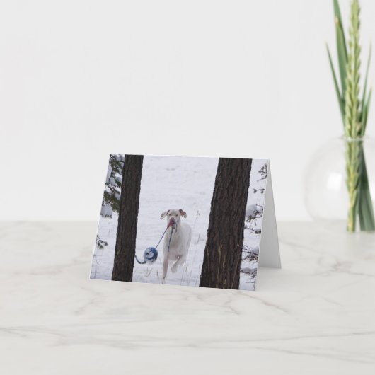 Pour Fêtes Annuelles Cartes de vacances (Devant)