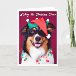 Pour Fêtes Annuelles Cartes de voeux australiennes de Noël de berger