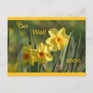 Pour Fêtes Annuelles Cartes de vœux de jonquilles jaunes orange personn
