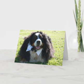 Pour Fêtes Annuelles Cartes de voeux de nation de Berner