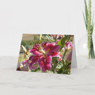 Pour Fêtes Annuelles Cartes de vœux de Noël Fleurs de Lys Roses