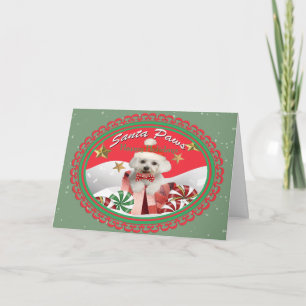 Pour Fêtes Annuelles Cartes Père Noël Puppy Maltese