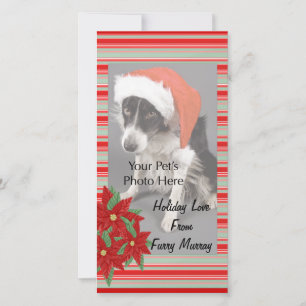 Pour Fêtes Annuelles Cartes photos de Noël de vos animaux de compagnie