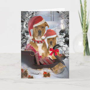 Pour Fêtes Annuelles Cartes Pitbull "Père Noël Sleigh"