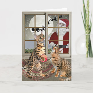 Pour Fêtes Annuelles Chat du Bengale observant des cartes de Père Noël