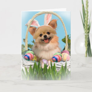 Pour Fêtes Annuelles Chihuahua Joyeuses cartes de Pâques
